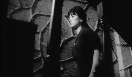 下女电影在线观看,揭开神秘面纱的宫廷秘闻